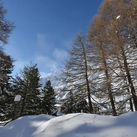 Mollino Bed & Breakfast 3*