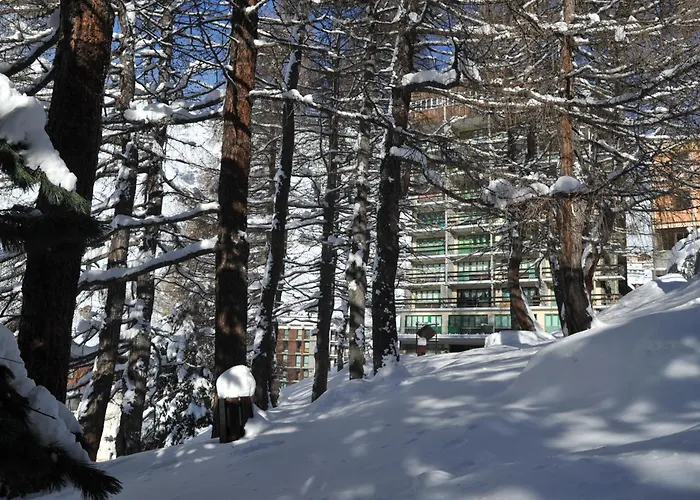 Bed & Breakfast Mollino